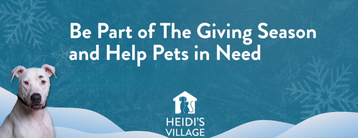 End of Year Giving Season